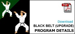 Six Sigma Green Belt Certification Distance Learning Course