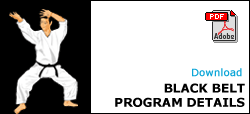 Six Sigma Black Belt Certification